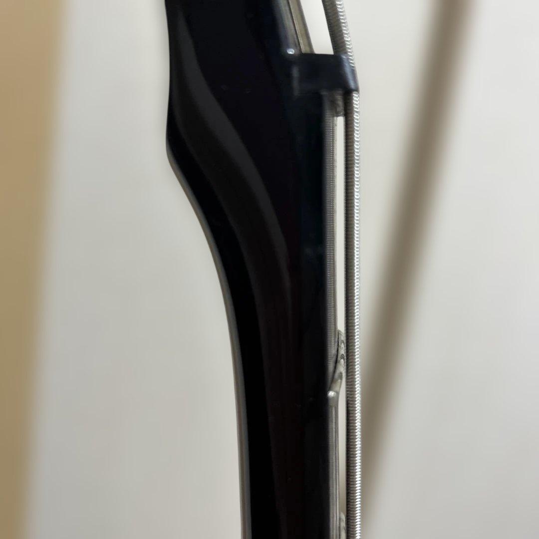 Schecter Hellraiser AD-C-4-HR スルーネック 保証書