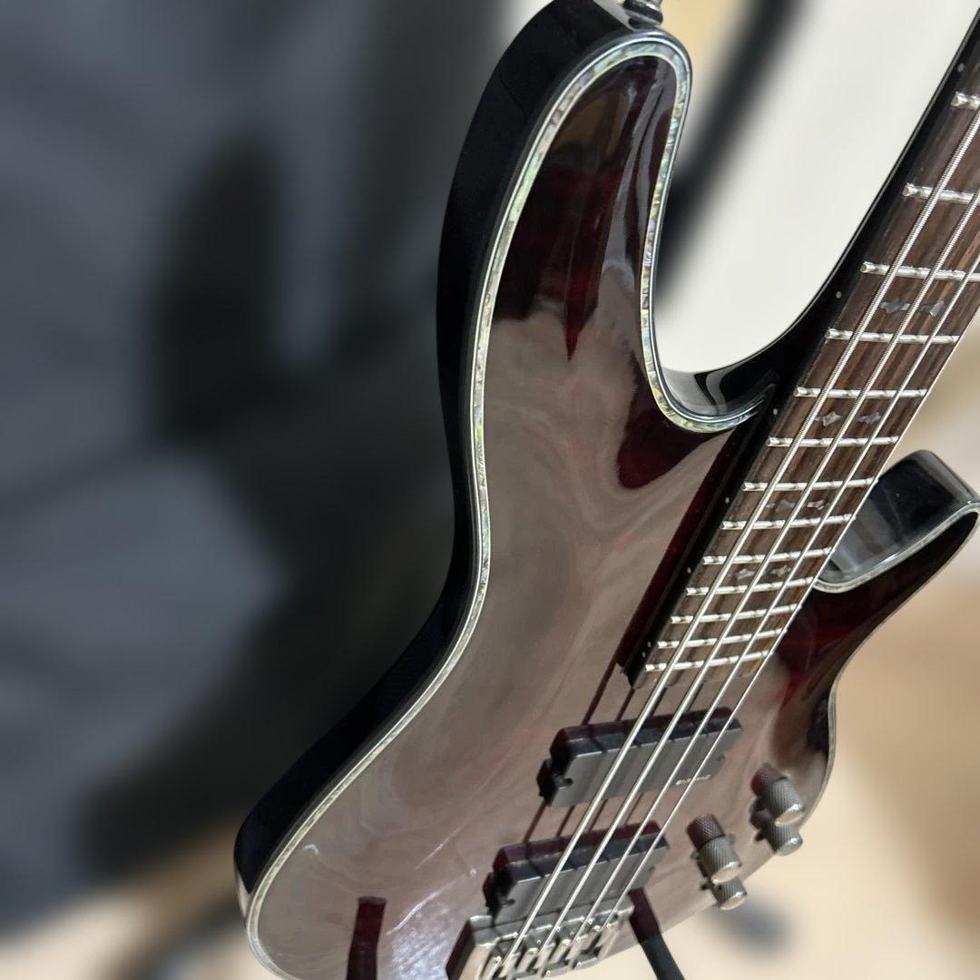 Schecter Hellraiser AD-C-4-HR スルーネック 保証書