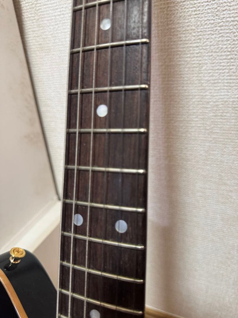 Sugi guitars DS496 IR オリジナルセミハード付き