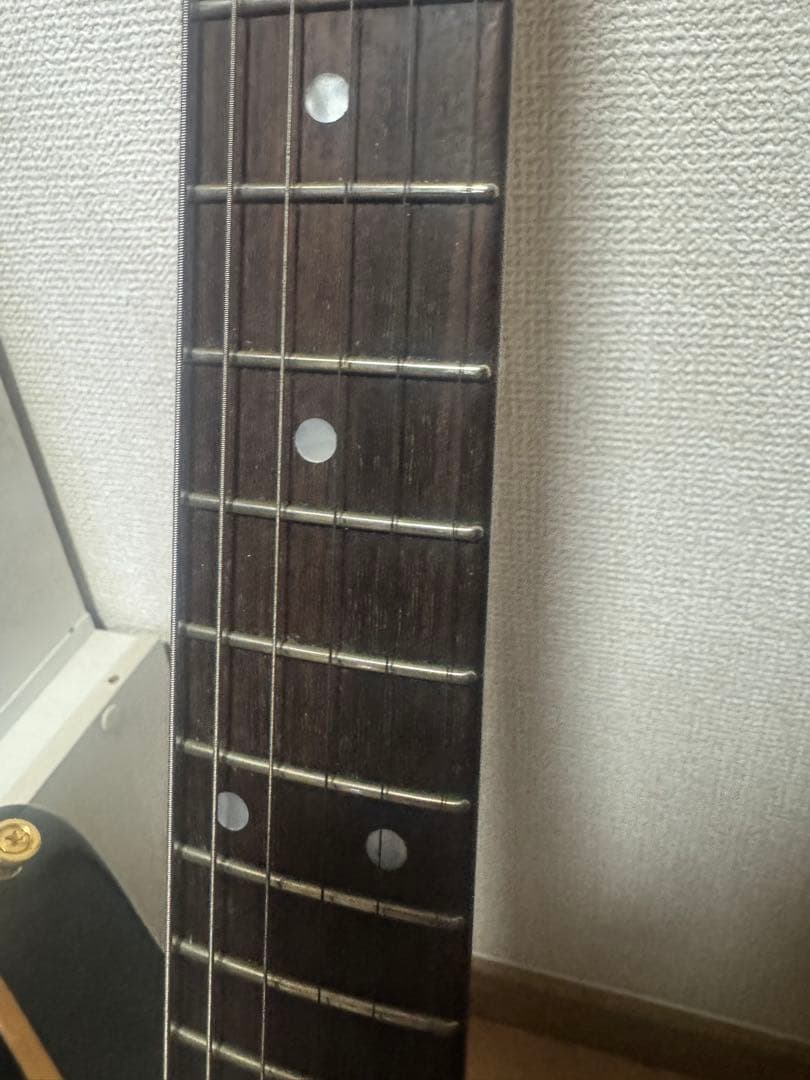 Sugi guitars DS496 IR オリジナルセミハード付き