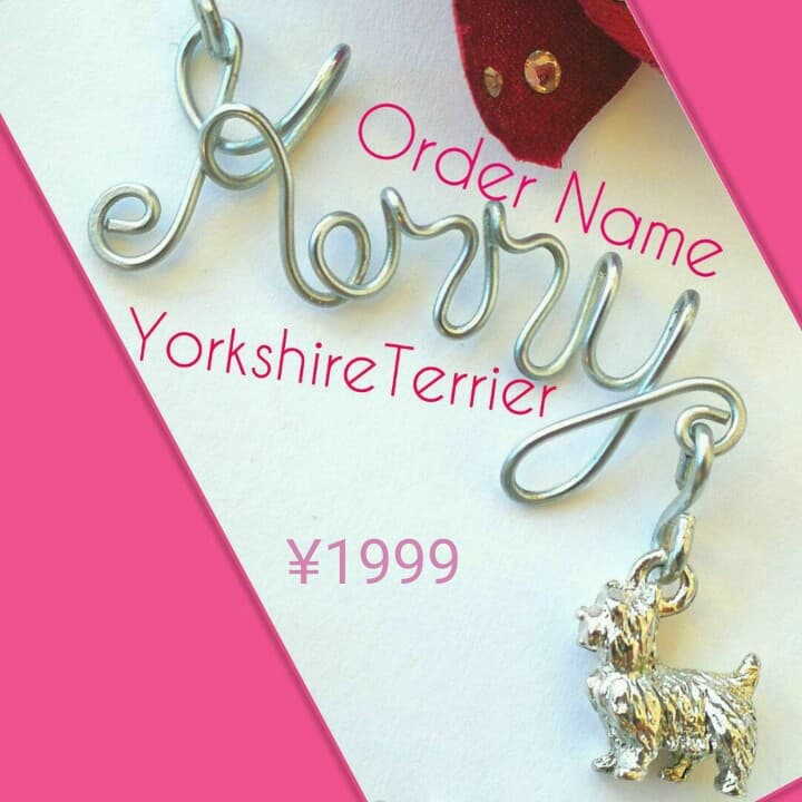 新品 14kgf パリ製 プードル 上質AAA ハーキマーダイヤモンド  ピアス