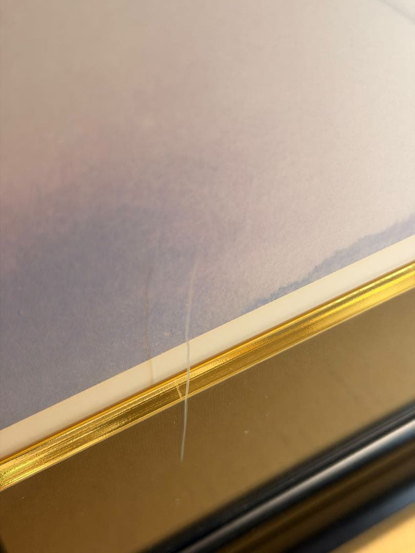 #クリスチャン・リース・ラッセン 「ドルフィン 」 ミクスドメディア版画 額装