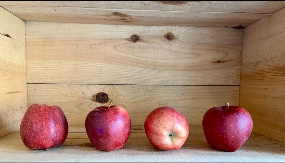 MZさまオーダー用ページ（スターキング）