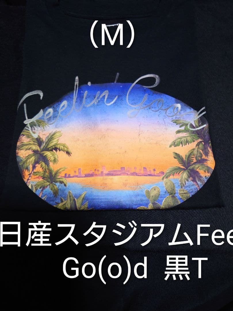 藤井風Tシャツ5枚+オマケTシャツ+ラゲッジタグ+ムジカ（Tシャツ指定ばら売OK