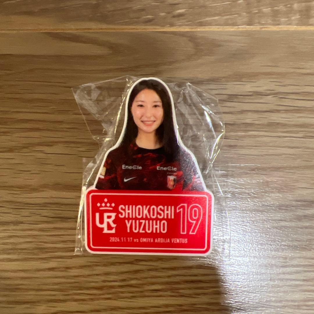 塩越柚歩 アクリルバッジ