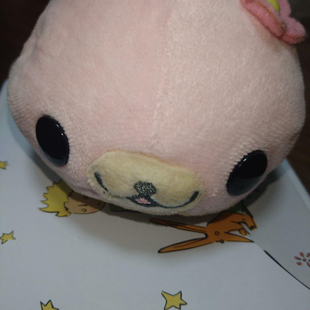 激レア　希少　まめゴマ　さくらゴマ　ドレス