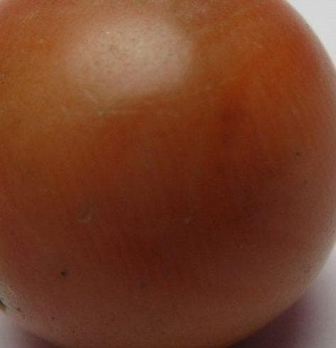 本珊瑚 珊瑚玉 緒締玉 A サンゴ さんご アンティーク　80128