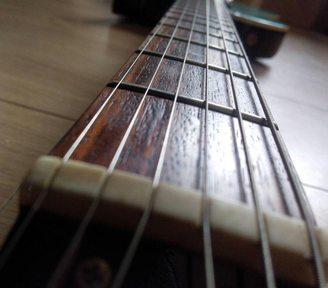 BURNY LS-65　バーニー　フェルナンデス　グリーンスパークル