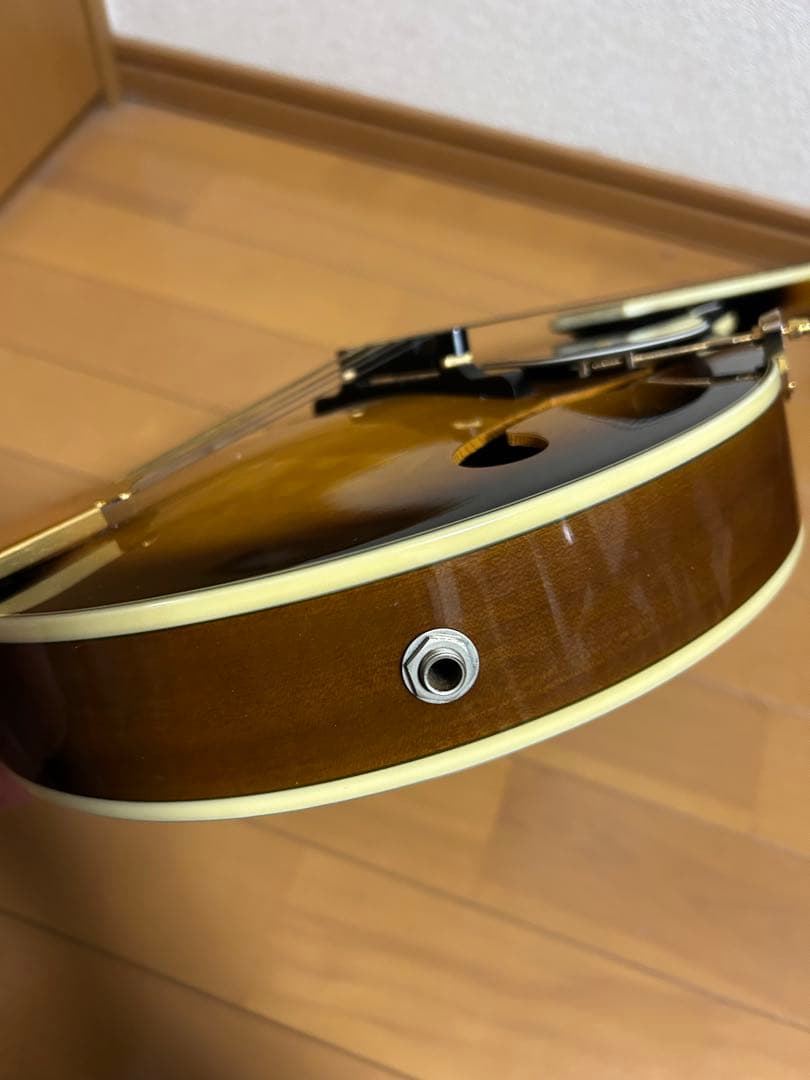 【Epiphone MM-30S マンドリン】ピックアップ搭載！