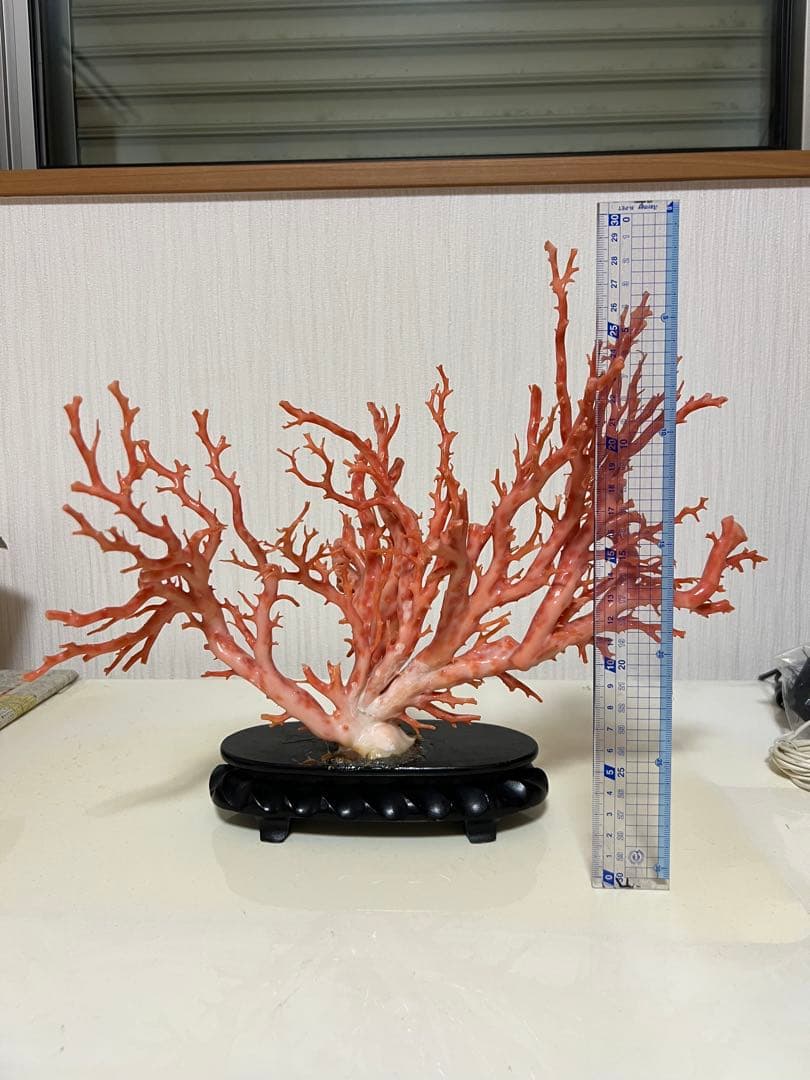 天然深海赤珊瑚　ピンク珊瑚 枝珊瑚　置物 宝石　原木　sango サンゴ　希少