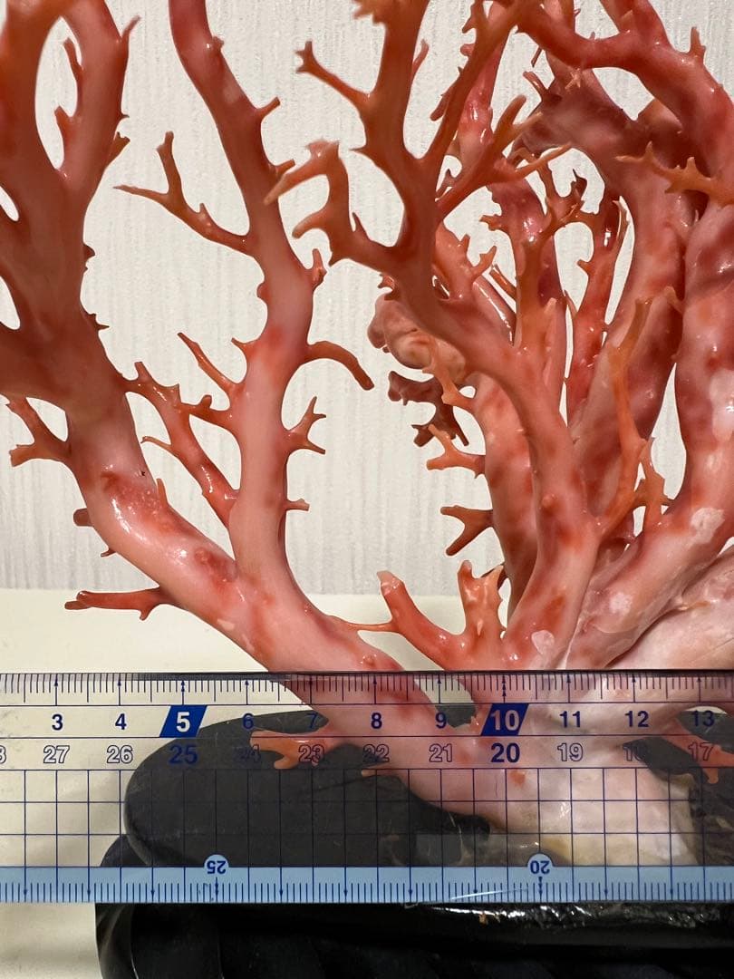 天然深海赤珊瑚　ピンク珊瑚 枝珊瑚　置物 宝石　原木　sango サンゴ　希少