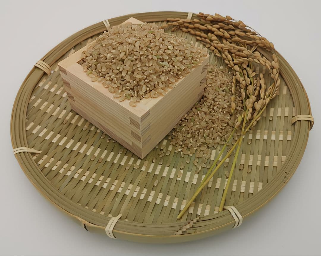 自然栽培米【令和7年 新米】ひとめぼれ 宮城県産 10kg 玄米 2025年