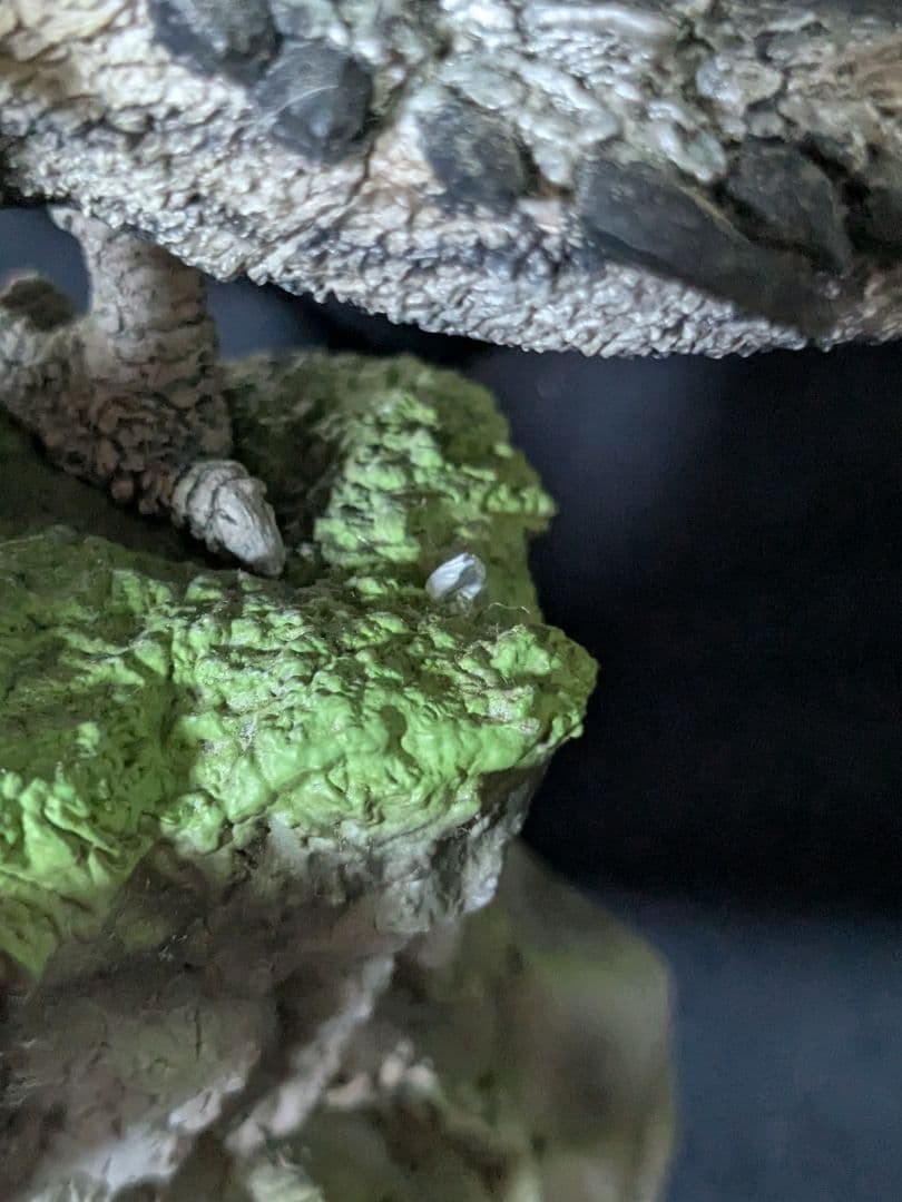 ス*ム様 クリエイターズモデル モンスターハンター 銀火竜 リオレウス 希少種