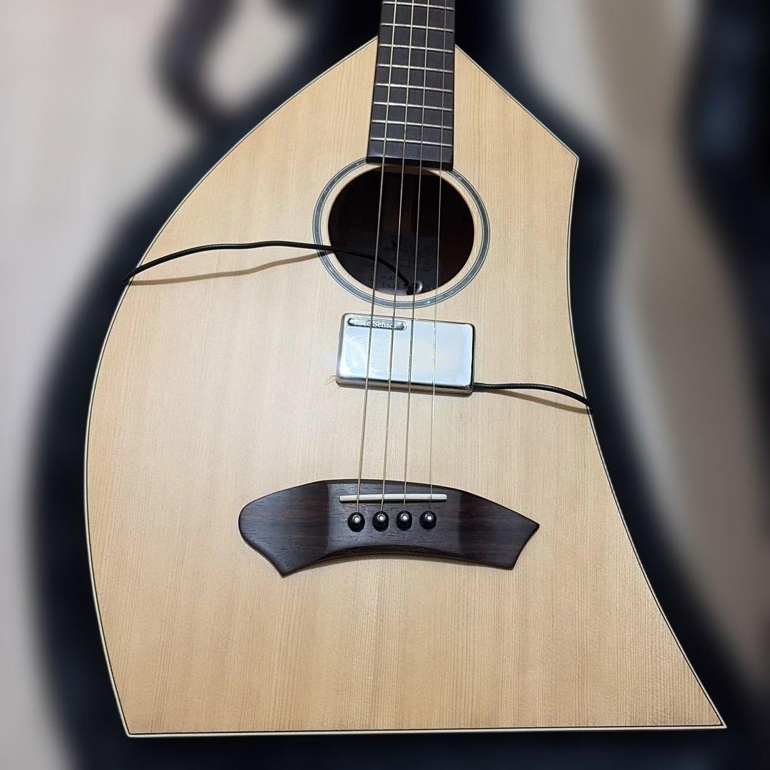 K.yairi / 一五一会 最上位モデル・ハードケースなど付属品多数