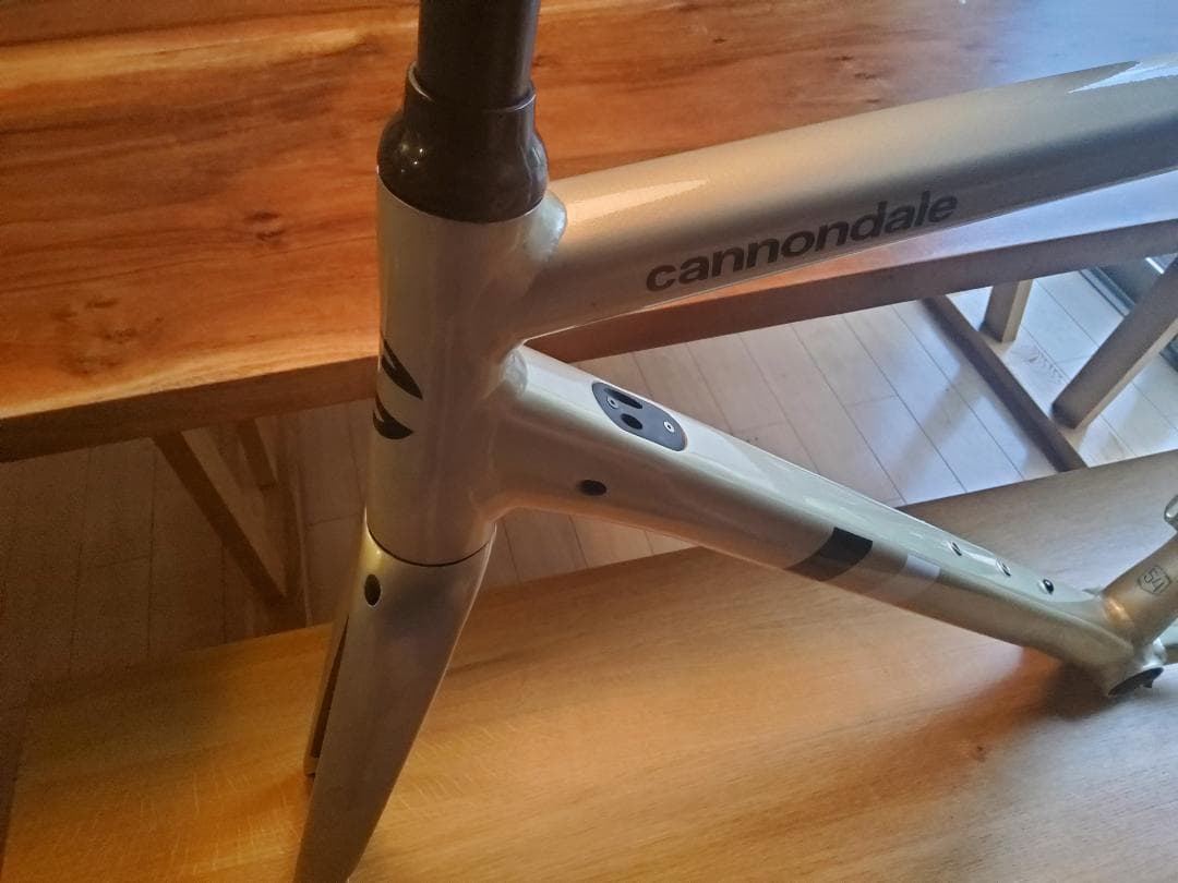 Cannondale CAAD13 ディスク フレームセット 54cm