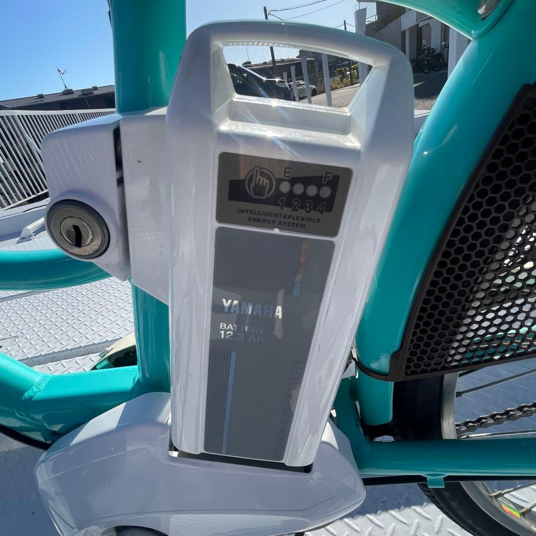 YAMAHA PAS Fiona 2019年【整備済・充電器別売・大阪吹田】