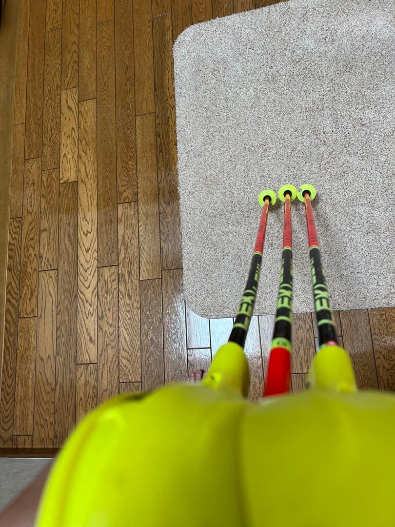 スキー LEKI WCR TBS SL 3D 115cm