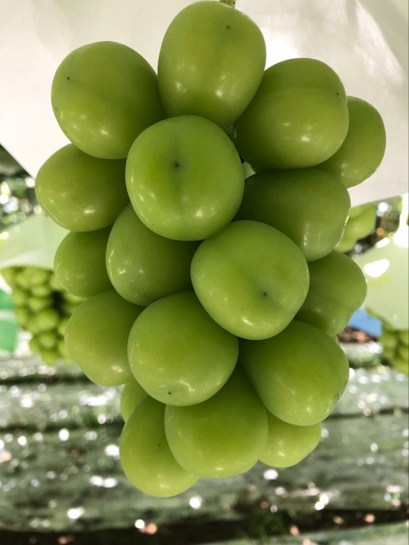 悪魔のぶどう 山梨県産シャインマスカット3kg×2