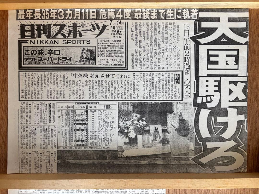 シンザン　昭和40年天皇賞 競馬パネル 日刊スポーツ