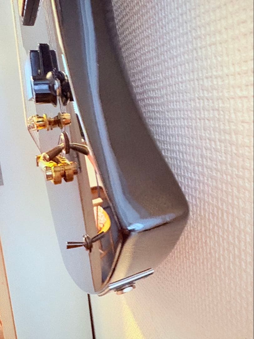 FERNANDES hideモデル ギター　MG Burny 80X 100X