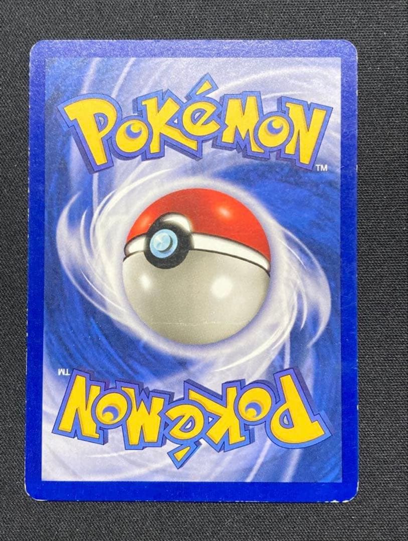 エラー版　ピカチュウ かじる　シャドーレス