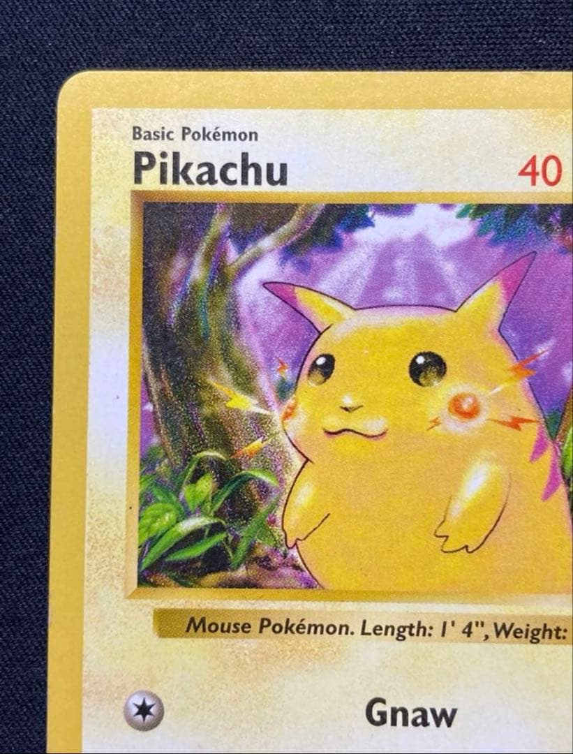 エラー版　ピカチュウ かじる　シャドーレス