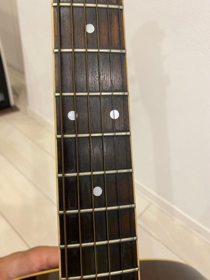 Morris モーリス　M601 アコースティックギター ハカランダ