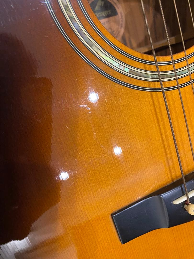 Morris モーリス　M601 アコースティックギター ハカランダ