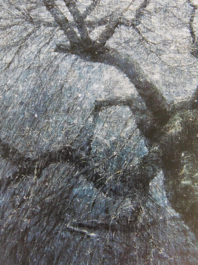 堀研、【風花】、希少な額装用画集より、新品額装付、状態良好