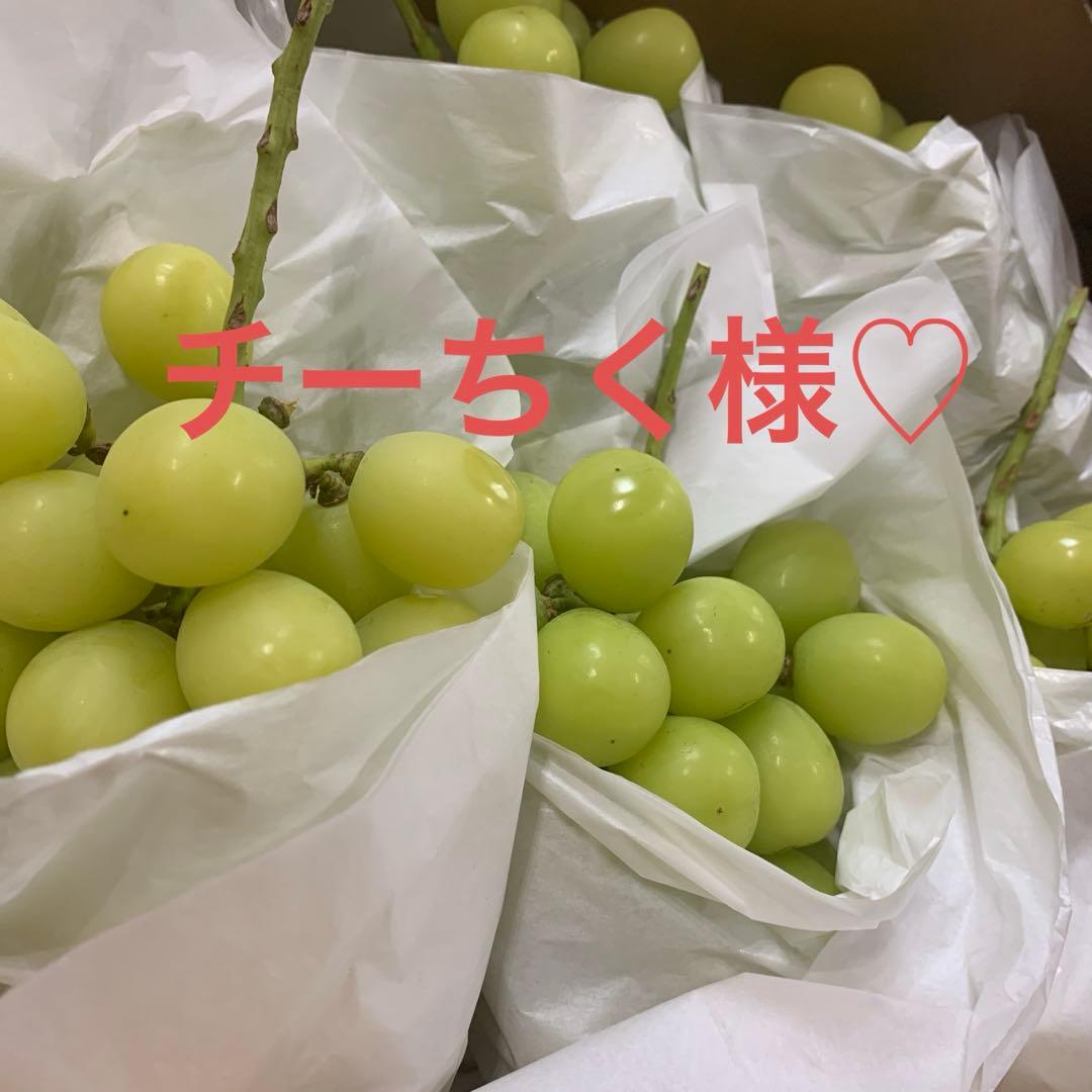 大粒シャインマスカット（5キロ）