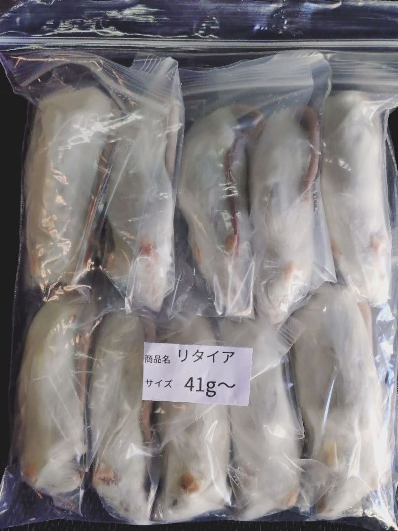 送料無料 冷凍マウスリタイア50匹