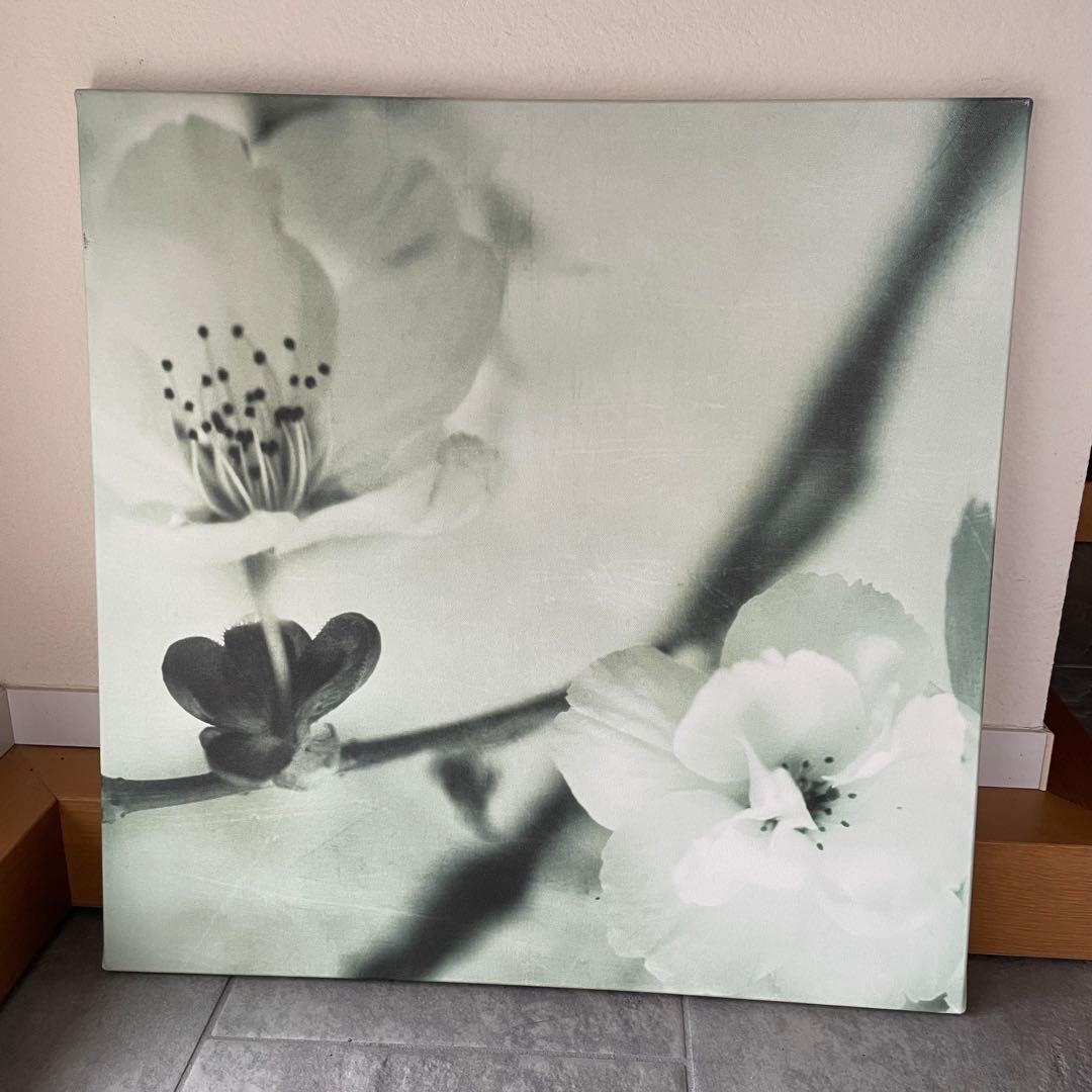 アートパネル 3枚セット　桜　IKEA
