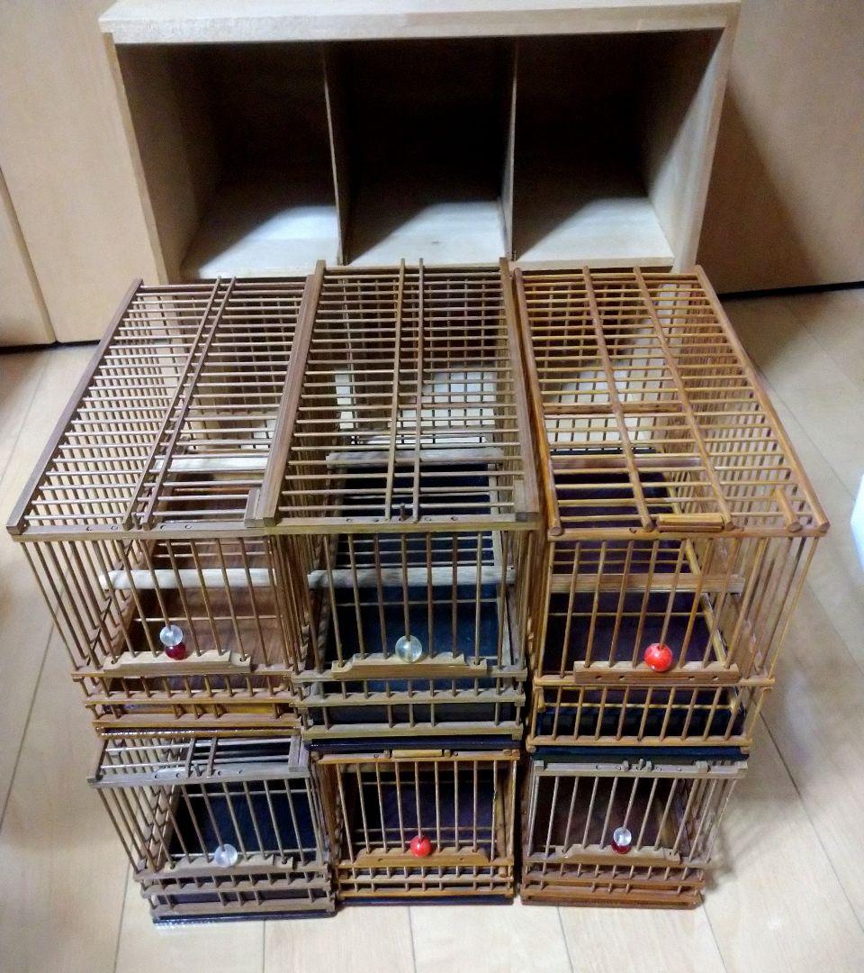 メジロ籠 6個 & 寝かせ箱 セット