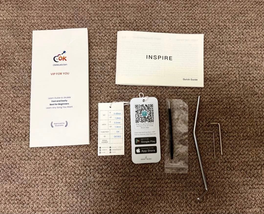 ENYA Inspire  ホワイト　アンプ内蔵エレキギター