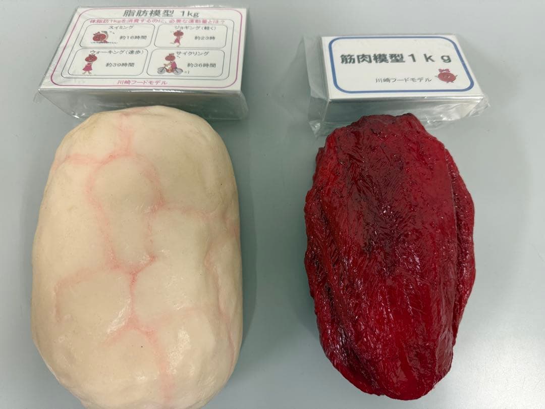 【2/9まで限定価格】未使用 川崎フードモデル 脂肪・筋肉模型 1kgセット