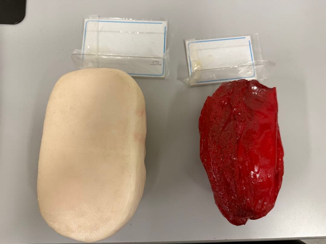 【2/9まで限定価格】未使用 川崎フードモデル 脂肪・筋肉模型 1kgセット