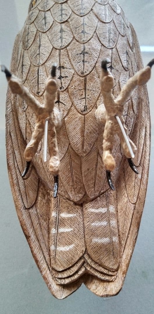 バードカービング　コノハズク