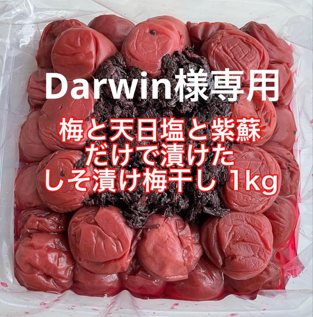 紀州南高梅 訳ありしそ漬け梅干し1kg はちみつ梅1kg 白干し梅1kg