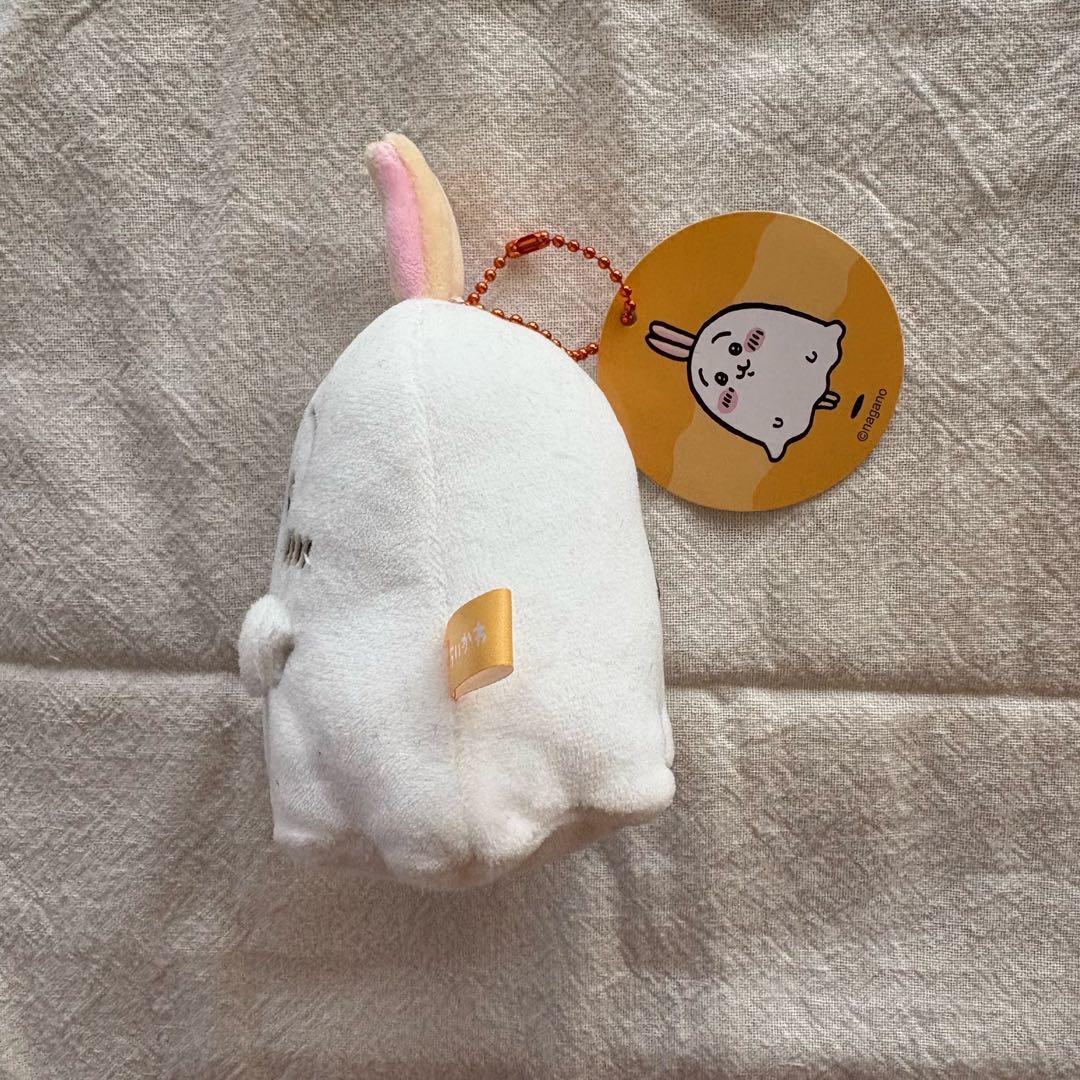 うさぎ　まとめ売り