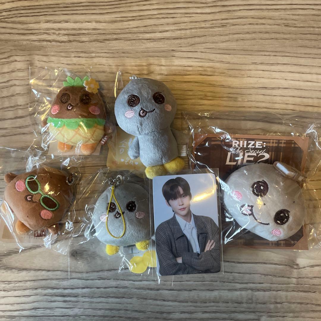 riize ウンソク ソンヨンドリ　ぬいぐるみ　ペンミ　summer トレカ