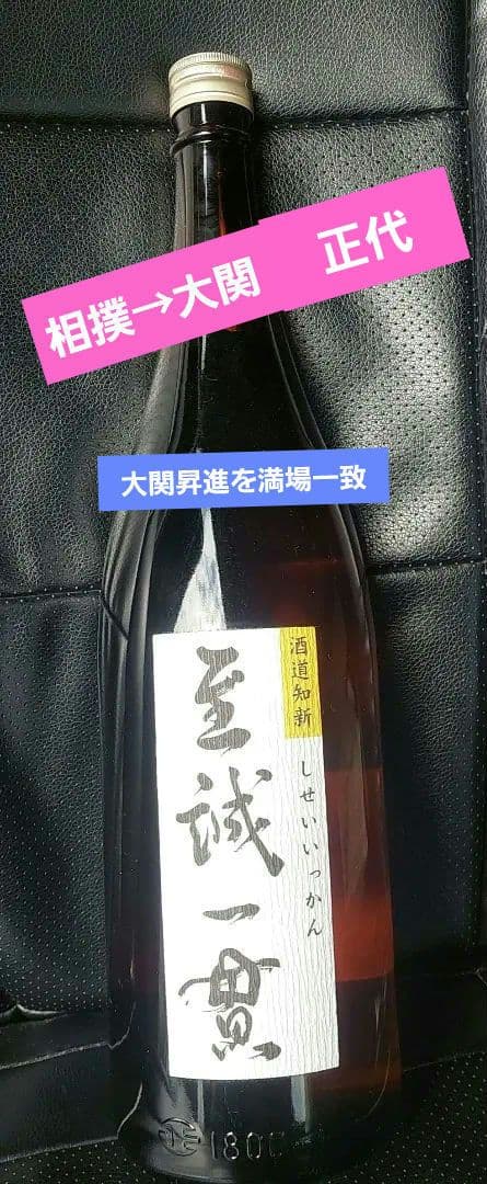米焼酎 相撲 大関 正代 至誠一貫 しせいいっかん 酒 焼酎 限定品