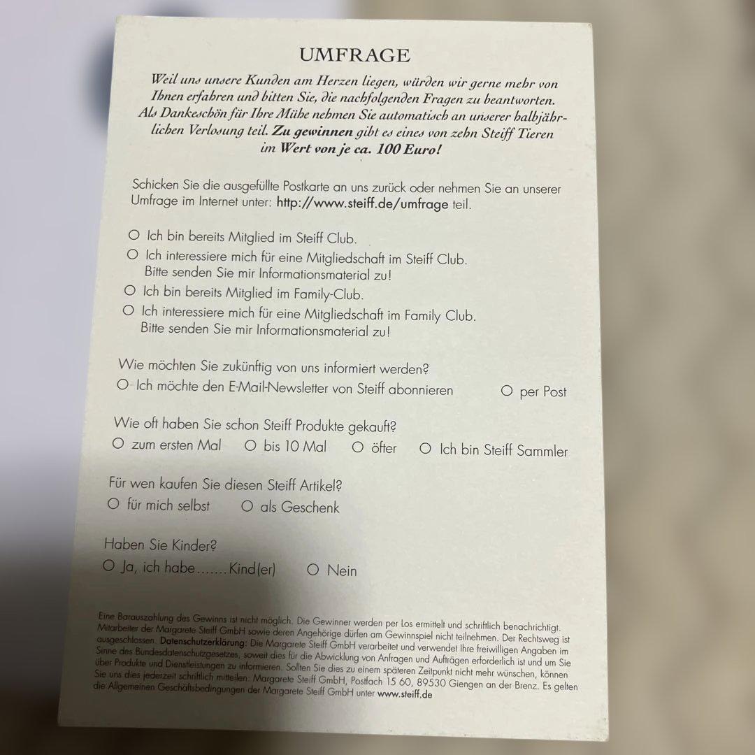 (激レア)(訳あり) シュタイフ　リヤドロ　コラボ　　スプリングテディベア