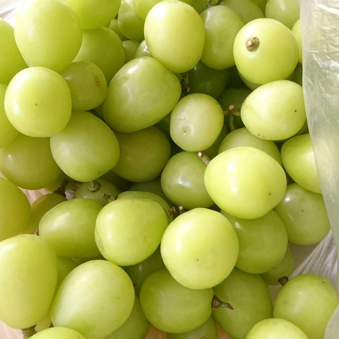 長野県産シャインマスカット　粒　４キロ