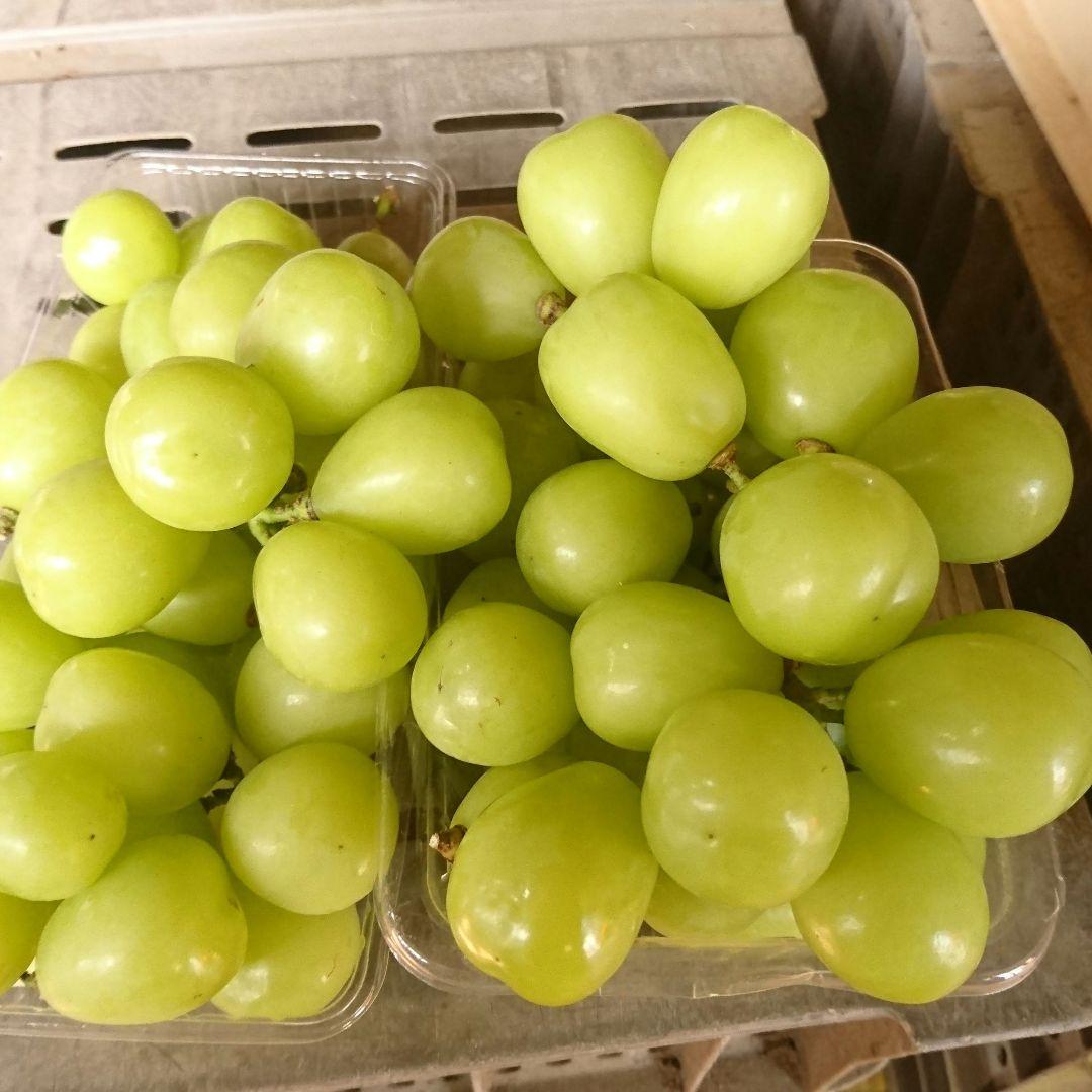 長野県産シャインマスカット　粒　４キロ