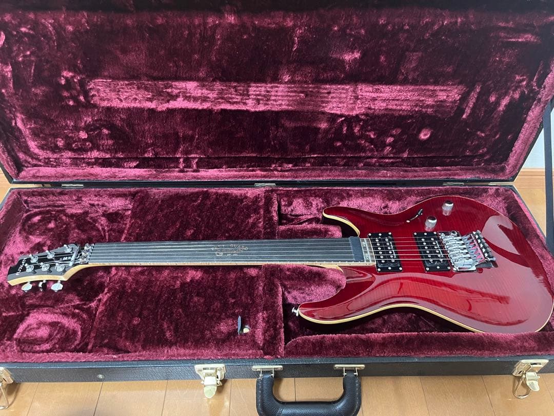 Fujigen EEL-FM-DL-HH（ハードケース付き）