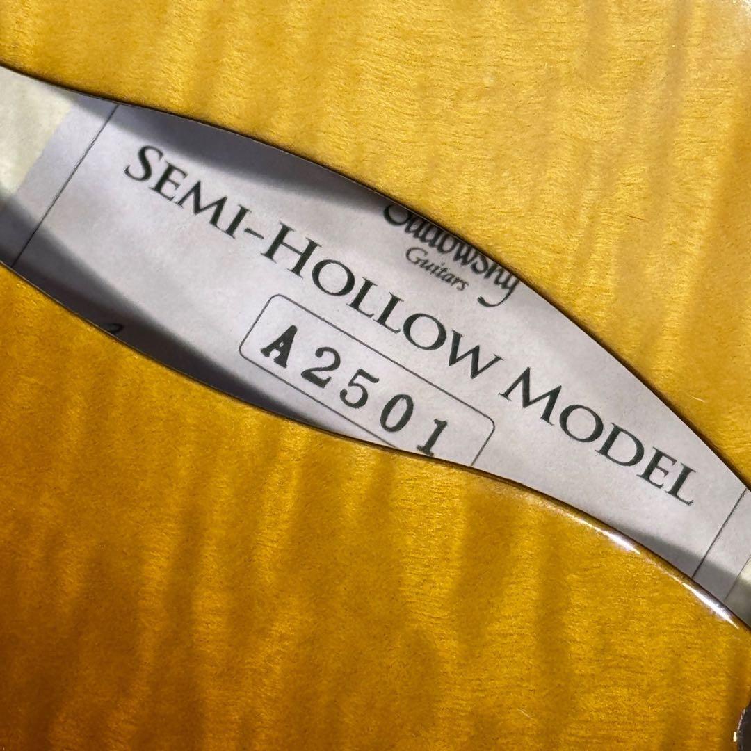 【美品】Sadowsky Semi Hollow Model