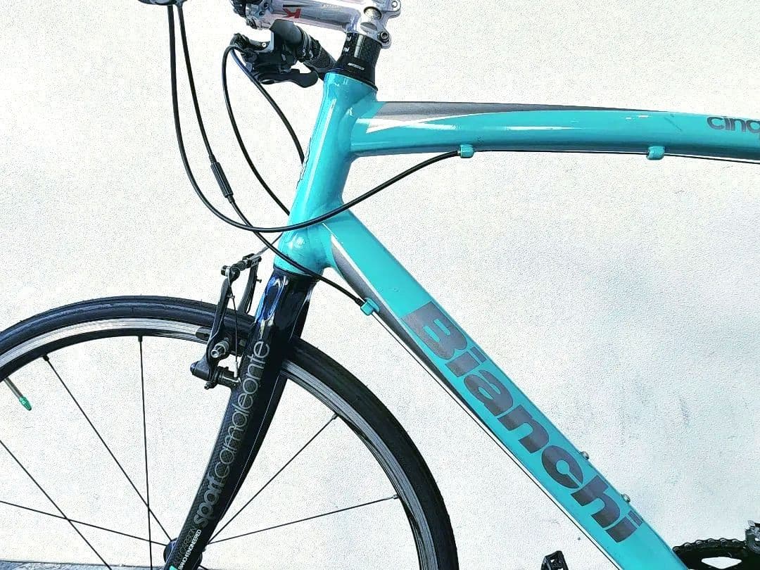 Bianchi クロスバイク カーボンフレーム