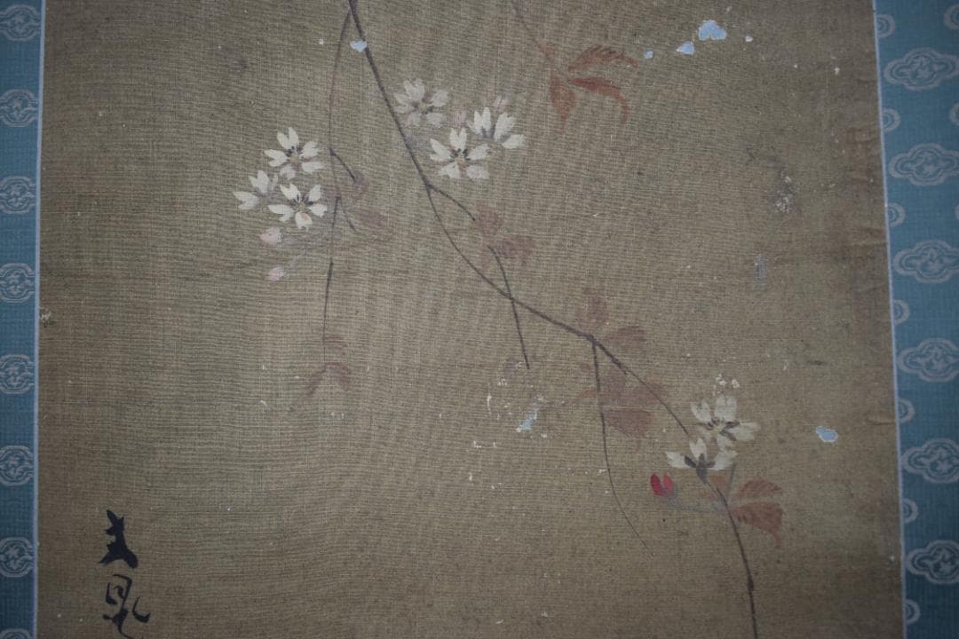 【模写】谷文晁/桜に小禽図/小鳥図/掛軸☆宝船☆Y-511　JM