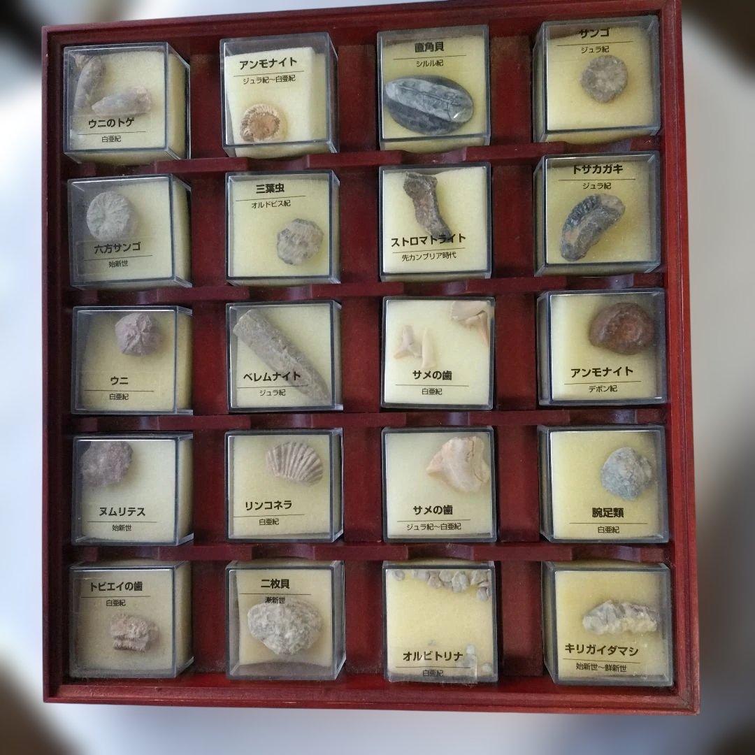 コレクション TREASURE STONE