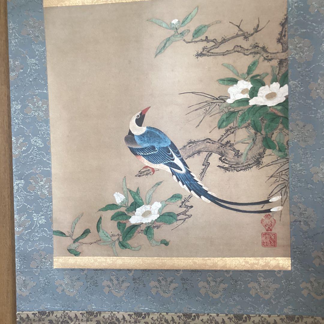 狩野養拙　椿尾長図　フランクリン画廊《認定書》サンフランシスコ美術館所蔵212